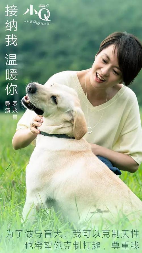 代办仿真电工作业证